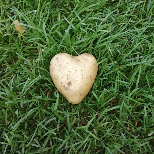 Photo #12594554