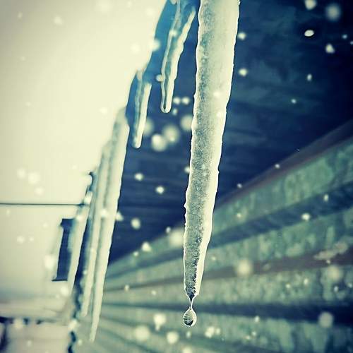 Photo #12594628