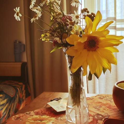 Photo #12594648