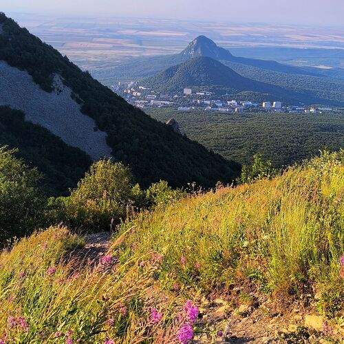 Photo #12594778