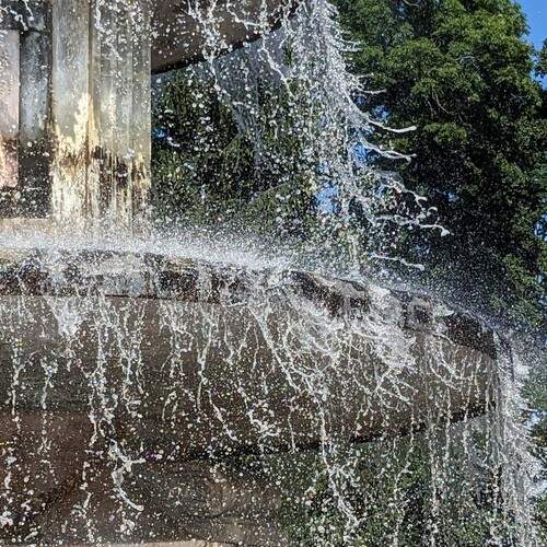 Photo #12594820