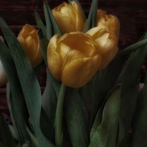 Photo #12595166
