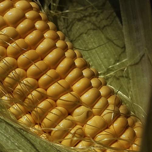 Photo #12595169