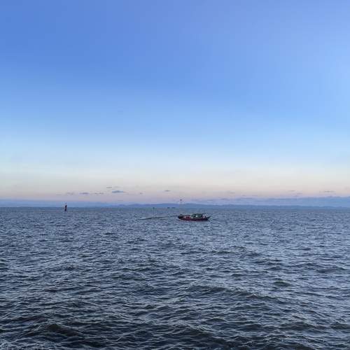Photo #12595520
