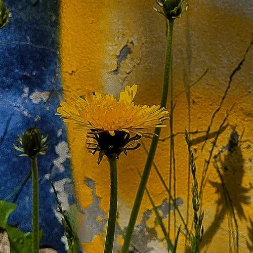 Photo #12595650