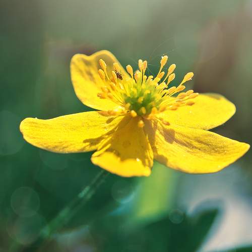 Photo #12595668