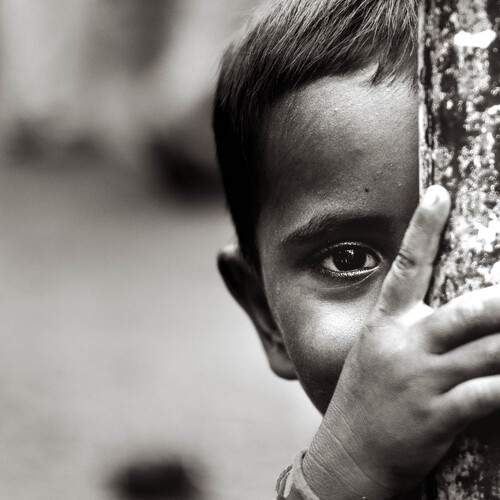 Photo #12596037