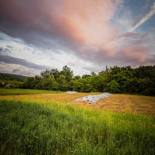 Photo #12596050