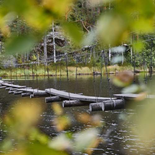 Photo #12596474