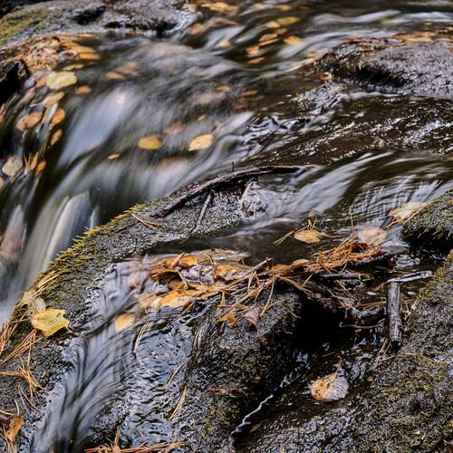 Photo #12596480