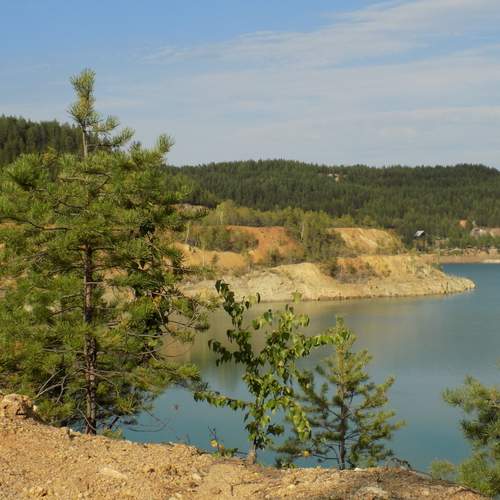 Photo #12596701
