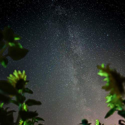 Photo #12596892