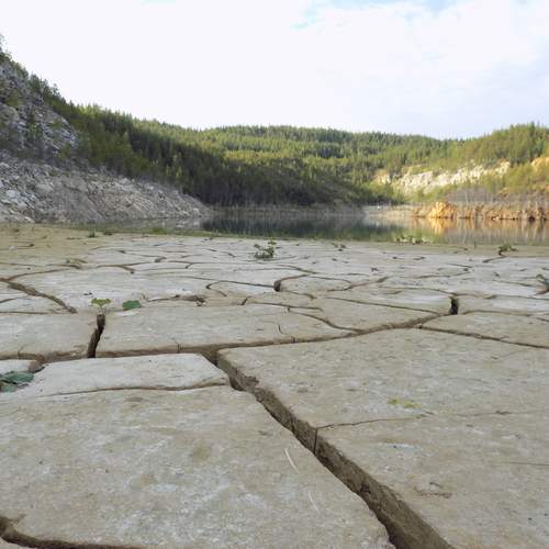 Photo #12596998