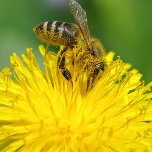 Photo #12597191