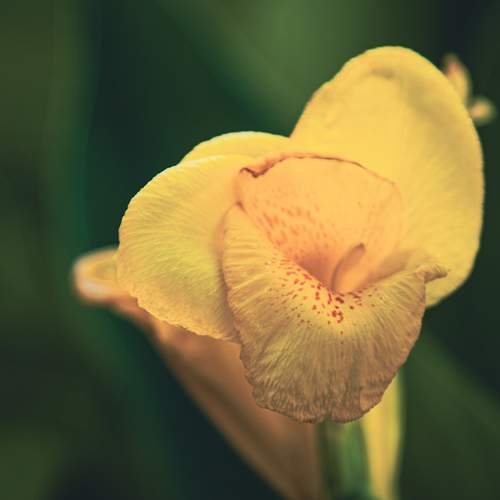 Photo #12597459