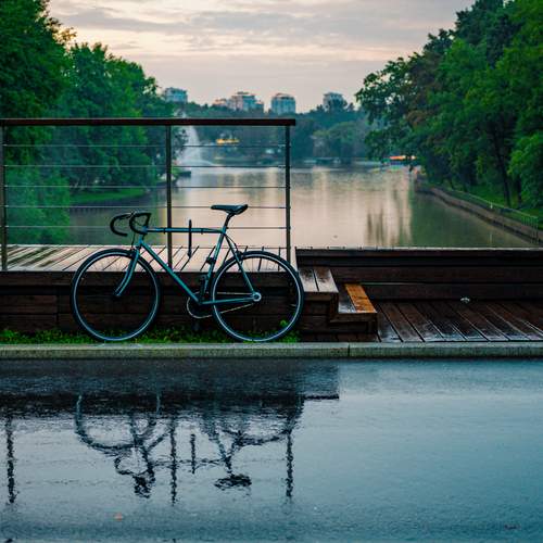 Photo #12597477