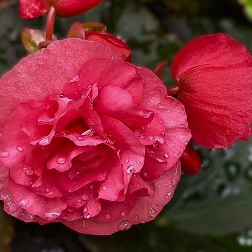 Photo #12597542
