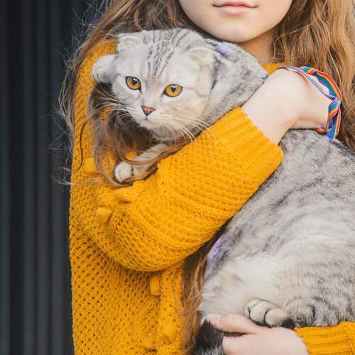 Photo #12597669