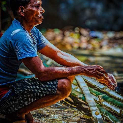 Photo #12597684