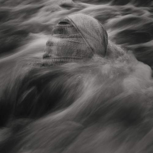 Photo #12597774