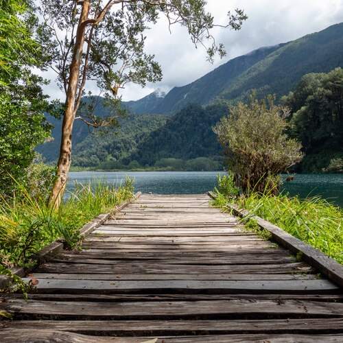 Photo #12597781