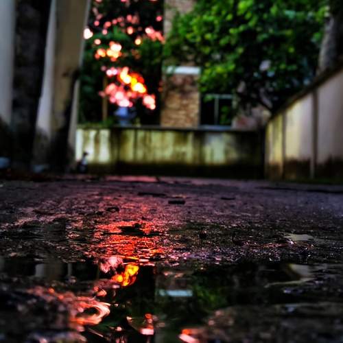 Photo #12597818