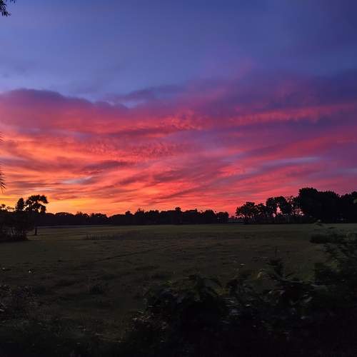 Photo #12597819