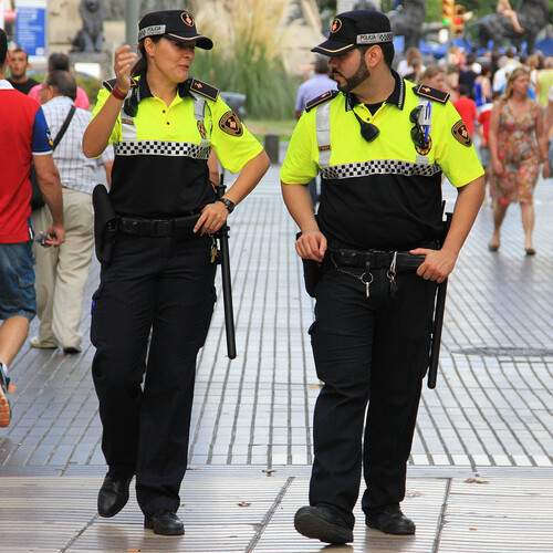 Photo #12597994