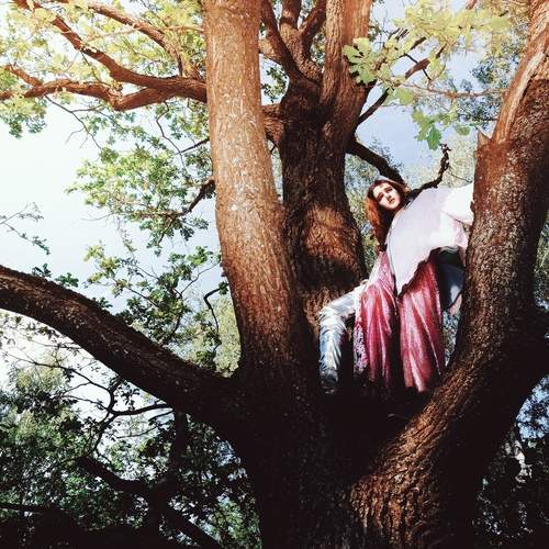 Photo #12598459