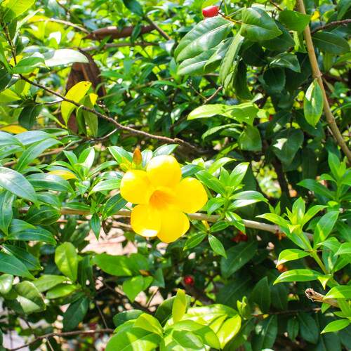 Photo #12598939