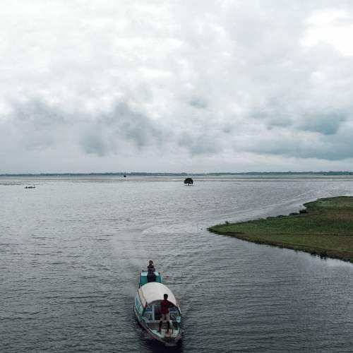 Photo #12598981