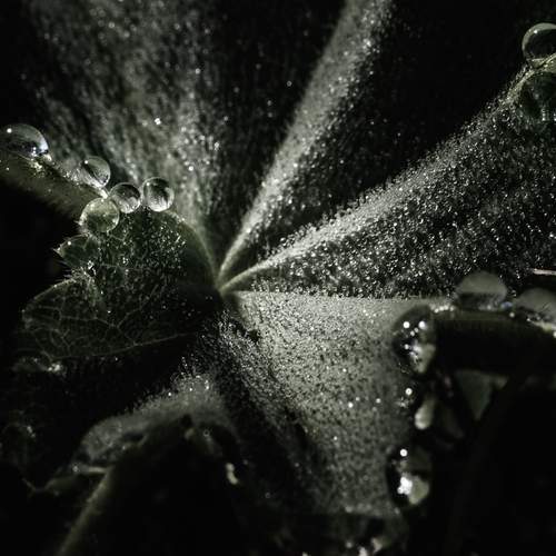 Photo #12599208