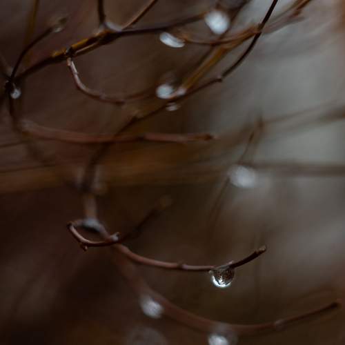 Photo #12599268