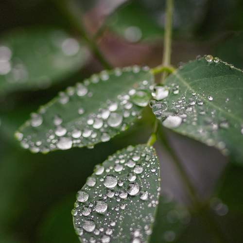 Photo #12599271
