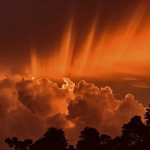 Photo #12599408