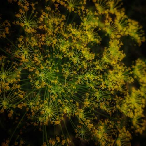 Photo #12599430