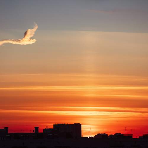 Photo #12599597
