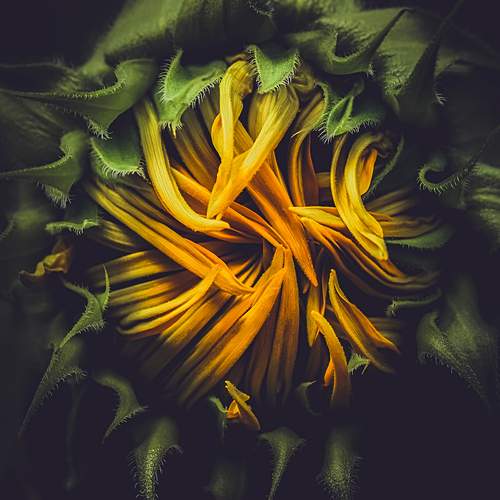 Photo #12599677