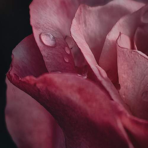 Photo #12600387