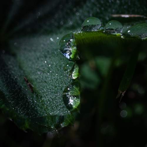 Photo #12600423
