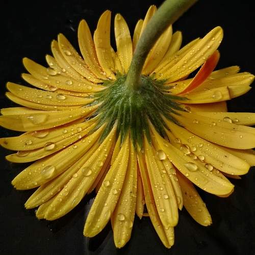 Photo #12600867