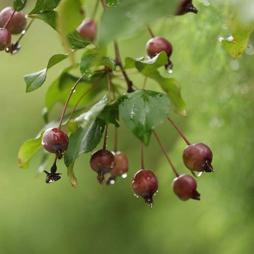 Photo #12601013