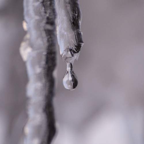 Photo #12601085
