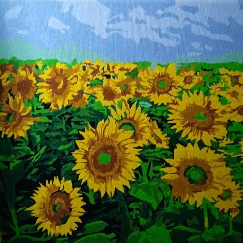 Photo #12601118