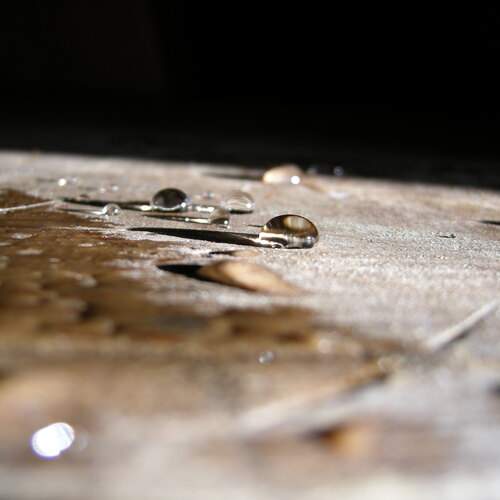 Photo #12601224