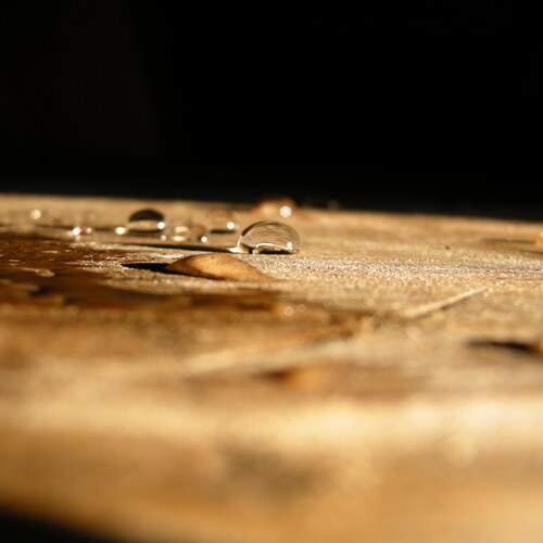 Photo #12601227
