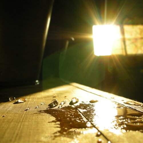Photo #12601229