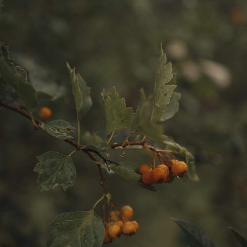 Photo #12601545