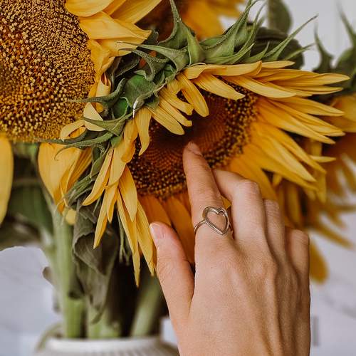 Photo #12601967