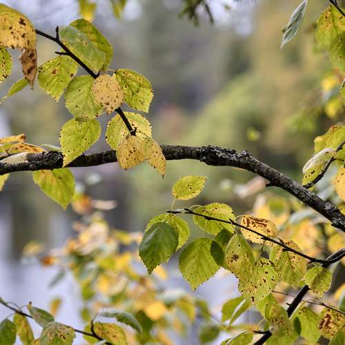 Photo #12602034